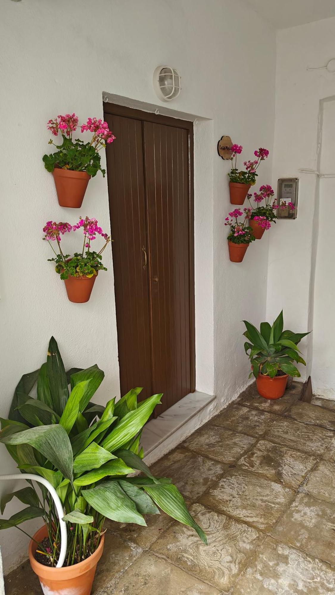 Casa Malia Apartamento Recien Reformado En Centro Vejer de la Frontera Bagian luar foto